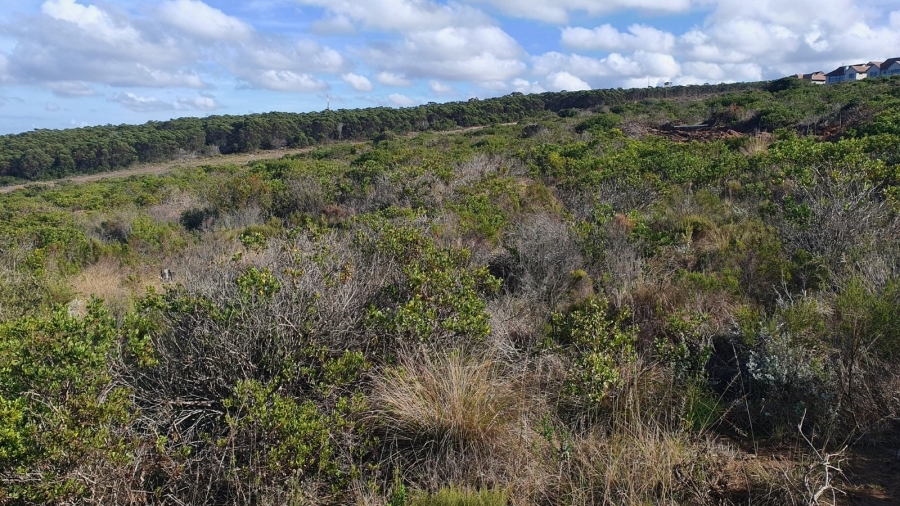  Bedroom Property for Sale in Paradise Coast Western Cape